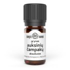 Auksinių čampakų žiedų absoliutas