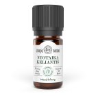 NUOTAIKĄ KELIANTIS aromaterapinis eterinių aliejų mišinys